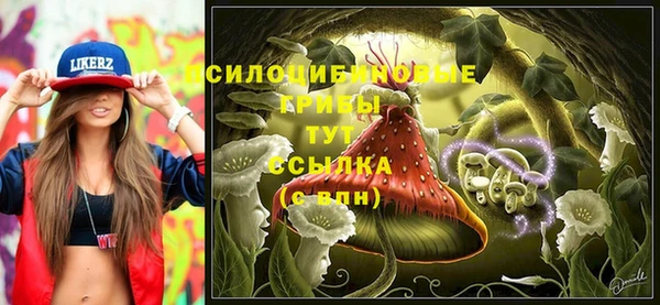 таблы Армянск